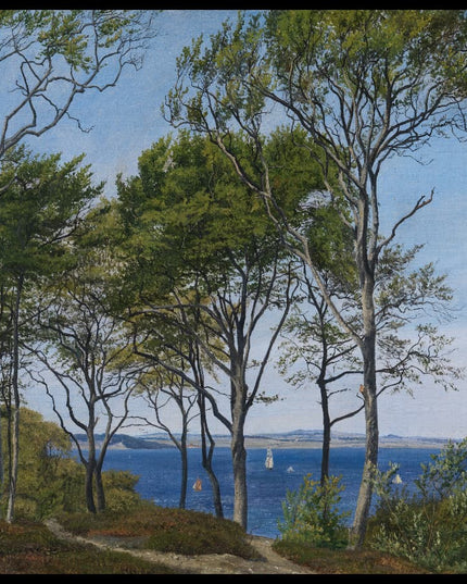 View Through Beech Trees Across a Fiord