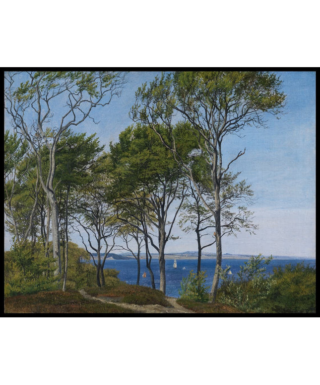 View Through Beech Trees Across a Fiord