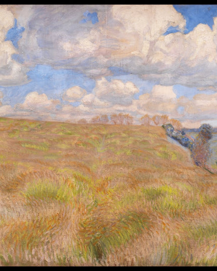 A Field of Waving Rye