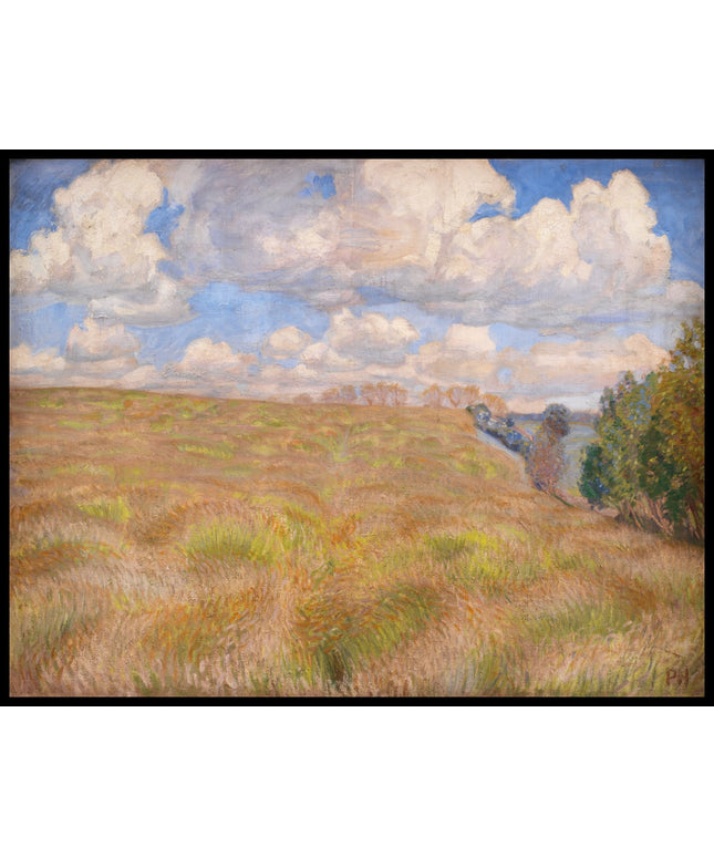 A Field of Waving Rye