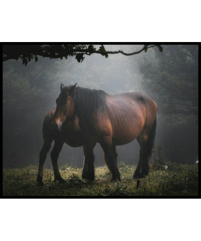 Ein Poster von zwei Pferden, die eng beieinander in einem nebligen Wald stehen, umgeben von dichtem Laub.