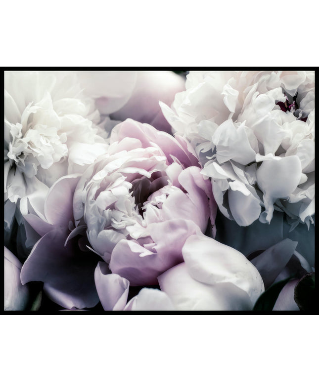 Ein Poster von üppigen Pfingstrosen in verschiedenen zarten Farbtönen.