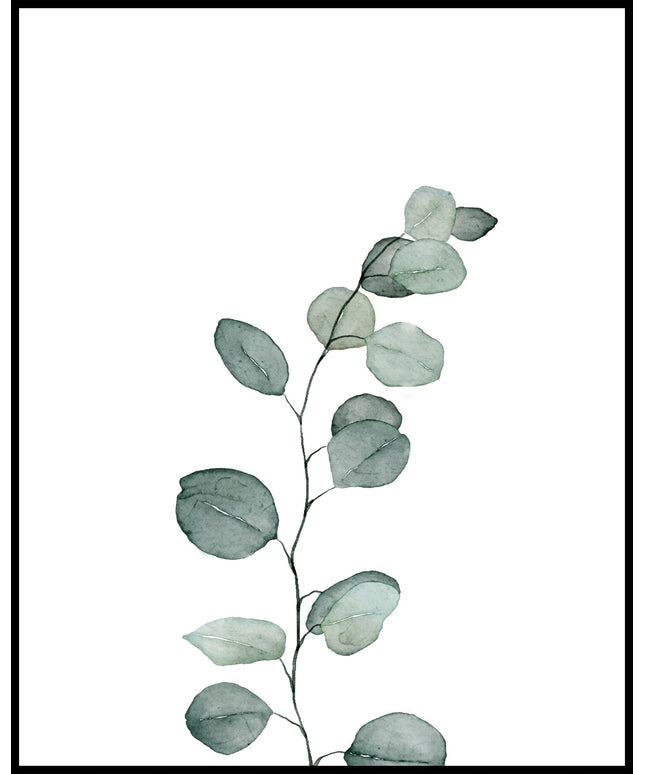 Aquarell Pflanzen Poster