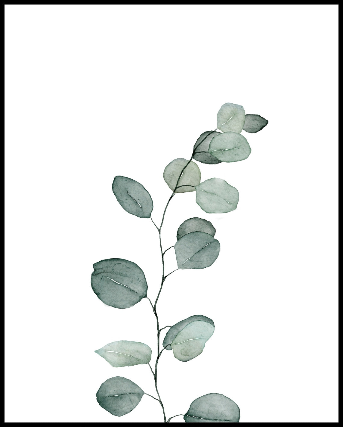 Watercolor plants poster