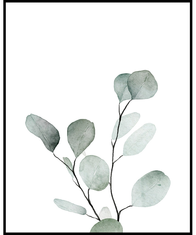 Aquarell Pflanzen Poster