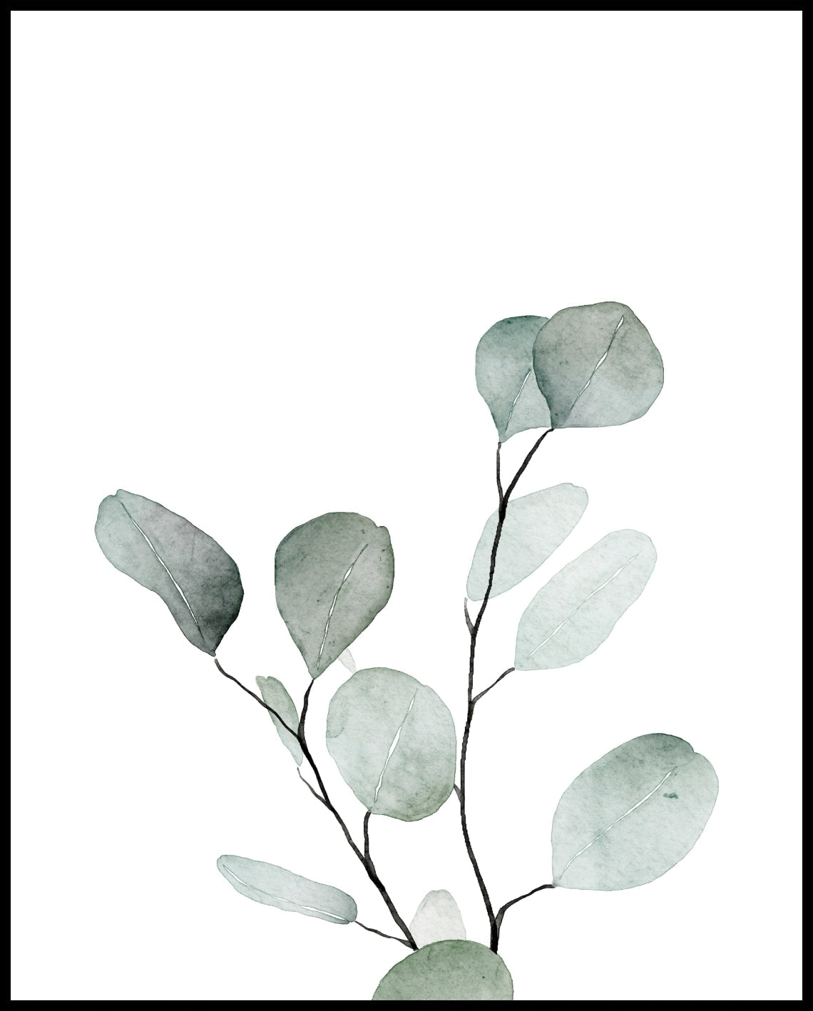 Watercolor plants poster
