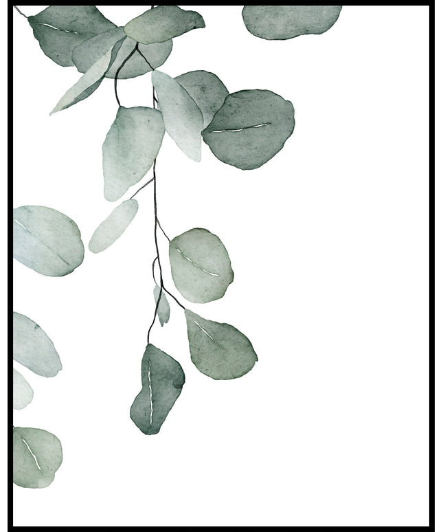 Aquarell Pflanzen Poster