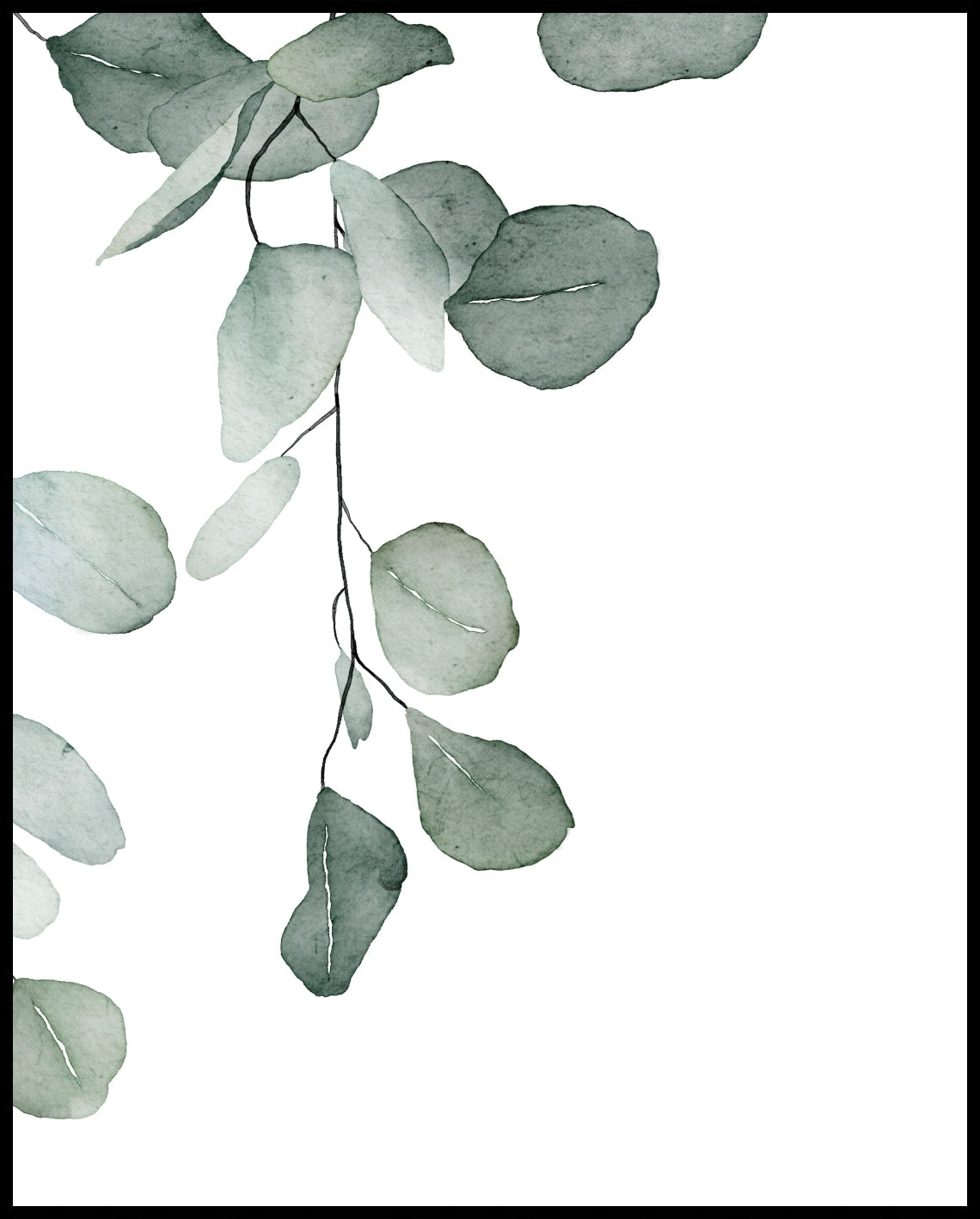 Watercolor plants poster