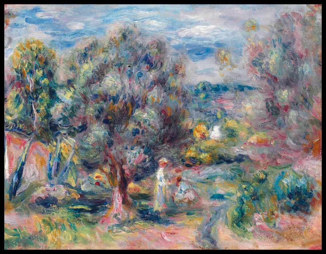 Aloès, la cueillette à Cagnes