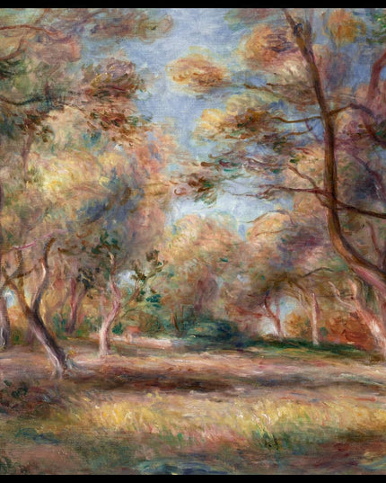 Les oliviers à Cagnes