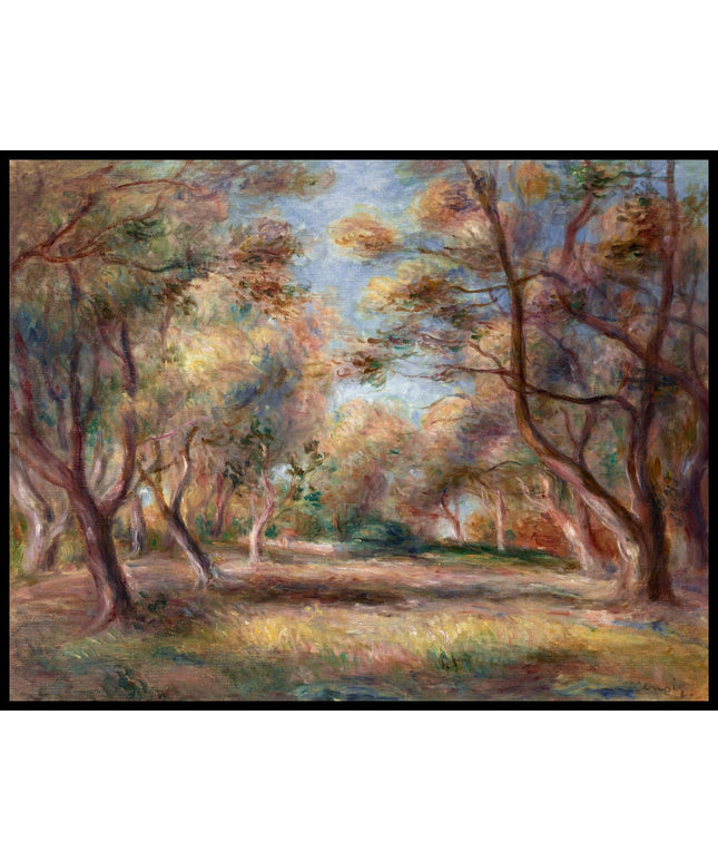 Les oliviers à Cagnes