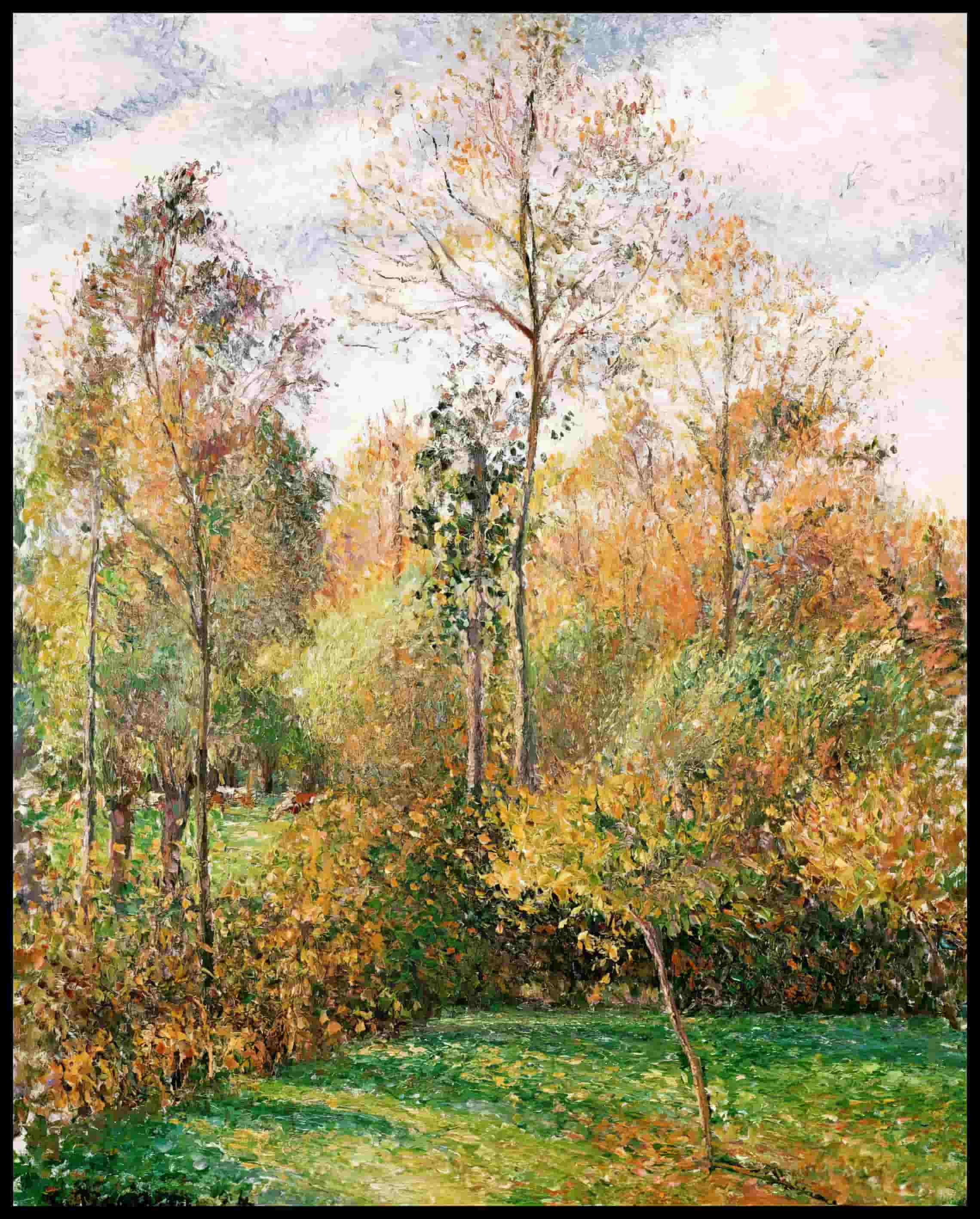 Poplars Éragny