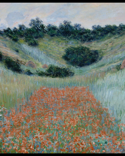 Poppy Field