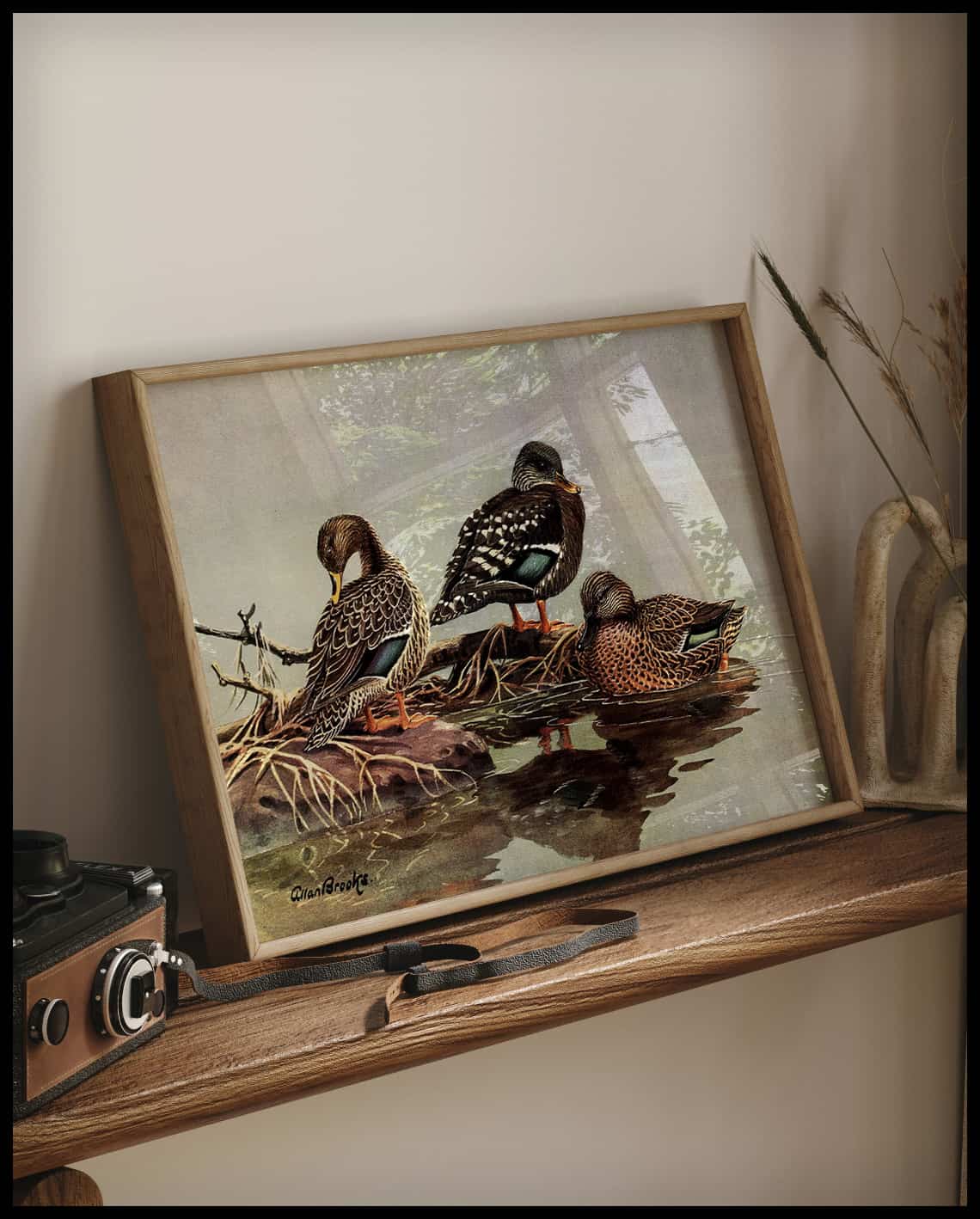 Gelbschnabelente Poster