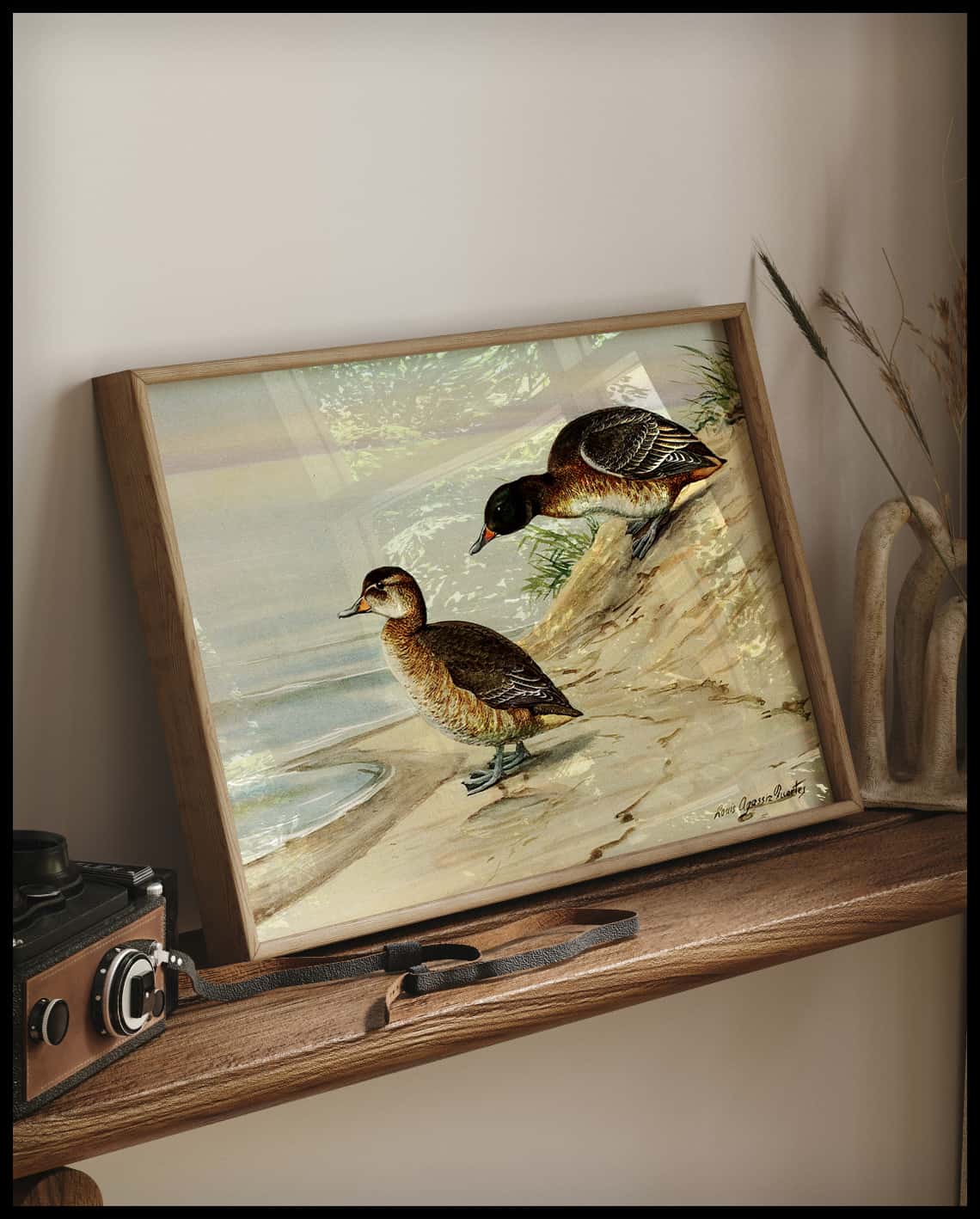Cuckoo duck poster