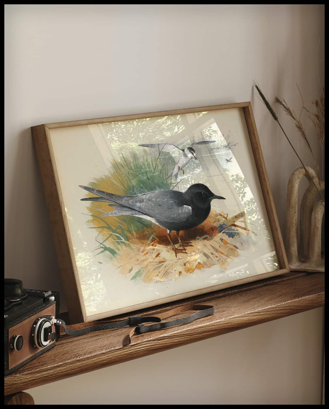 Shearwater poster