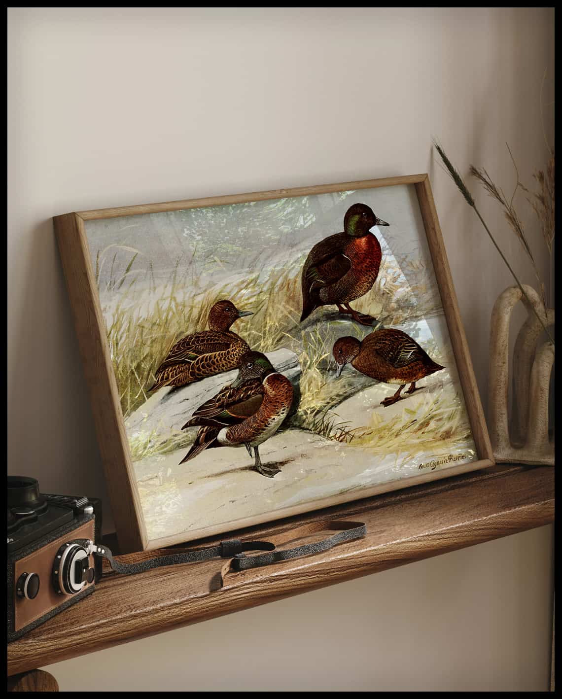 Brown ducks poster