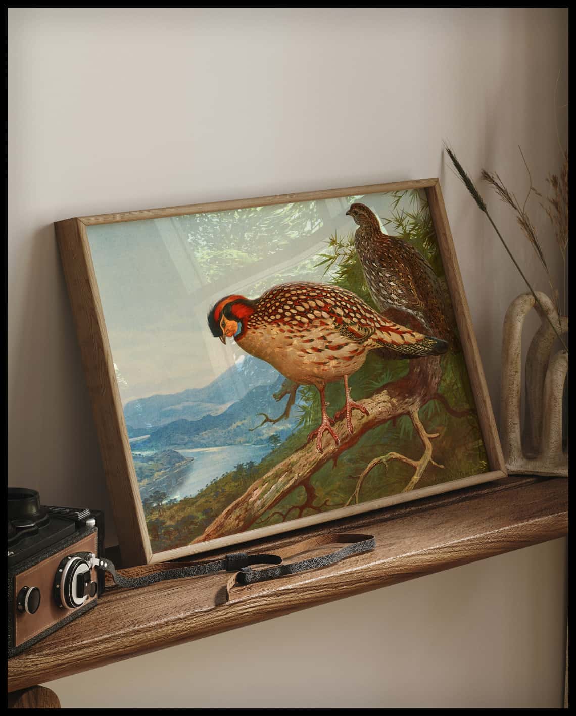 Cabottragopan Poster