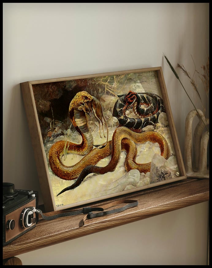 Cobra And Puff Adder