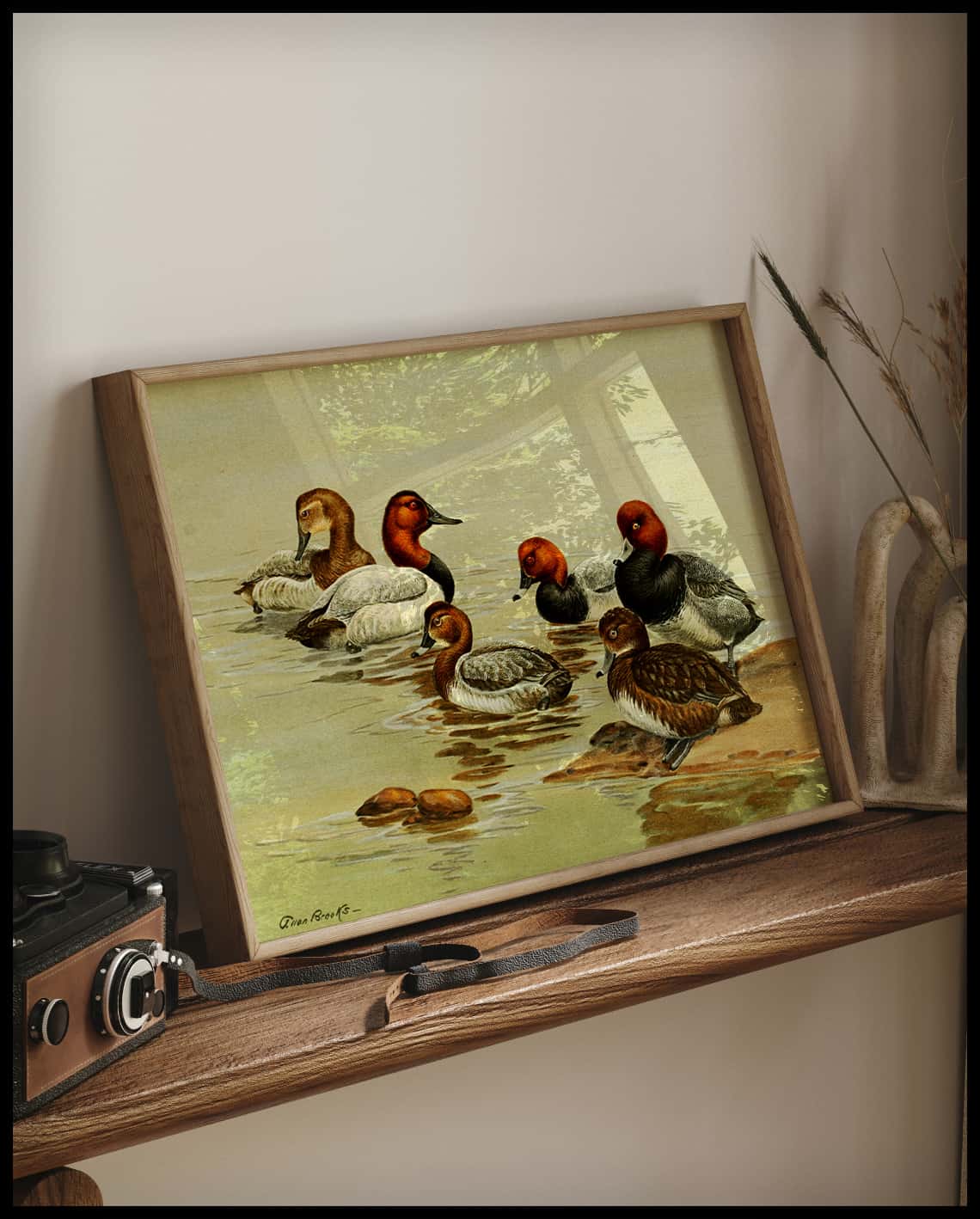 Tafelente Poster