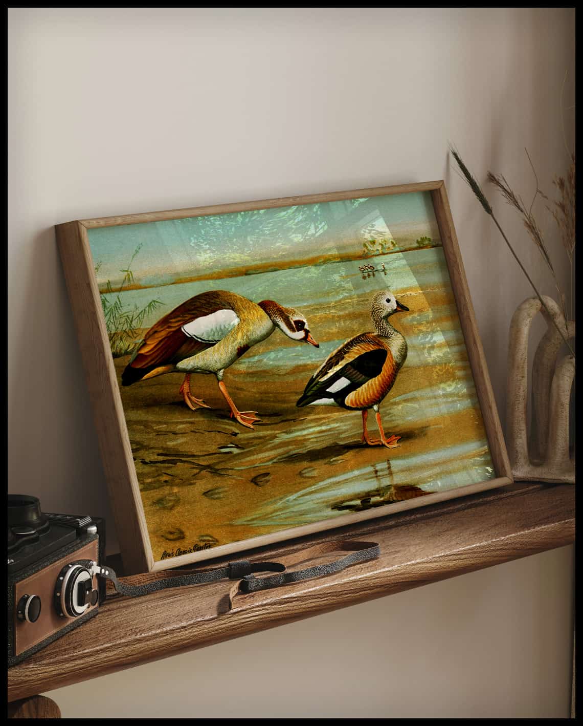 Nile Goose Poster
