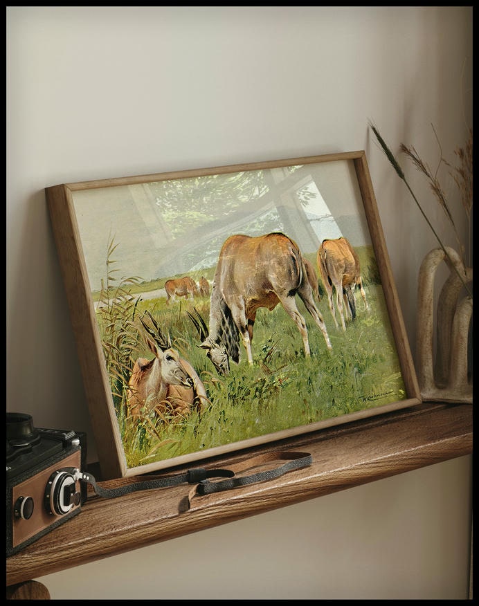 Eland