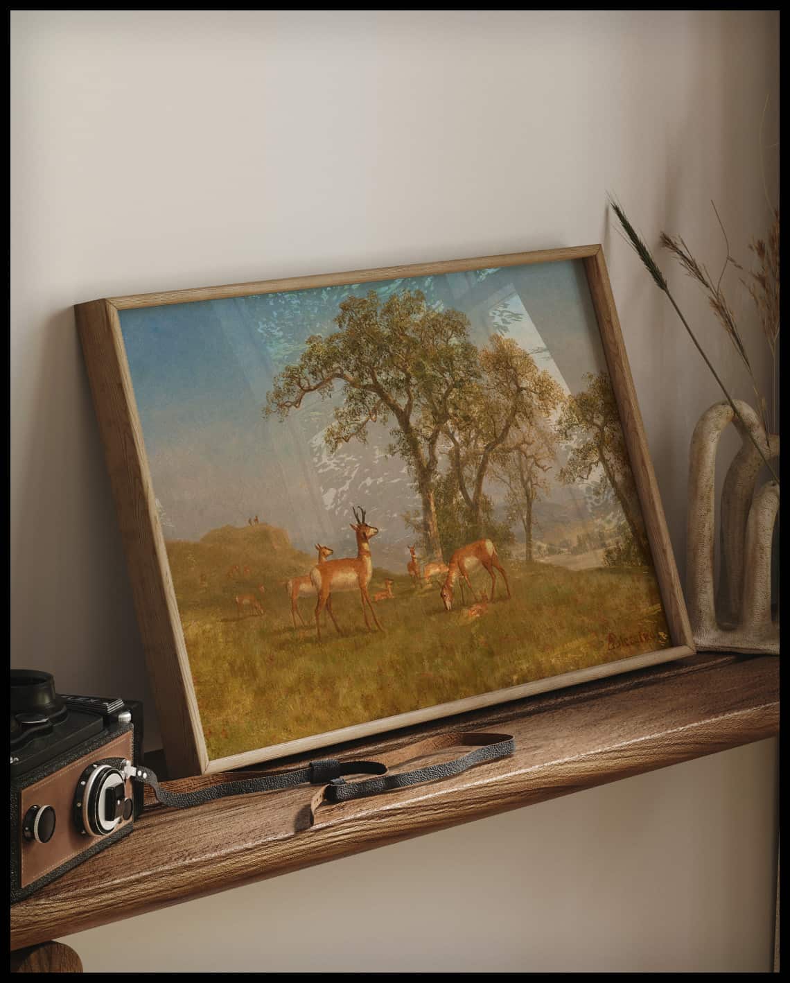 Grazing Antelope