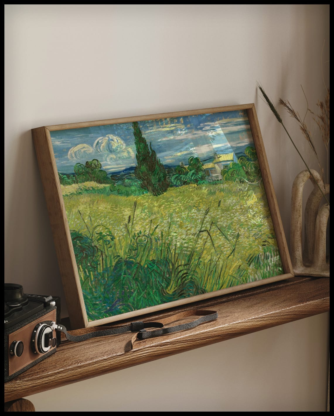 Green wheat field with cypress