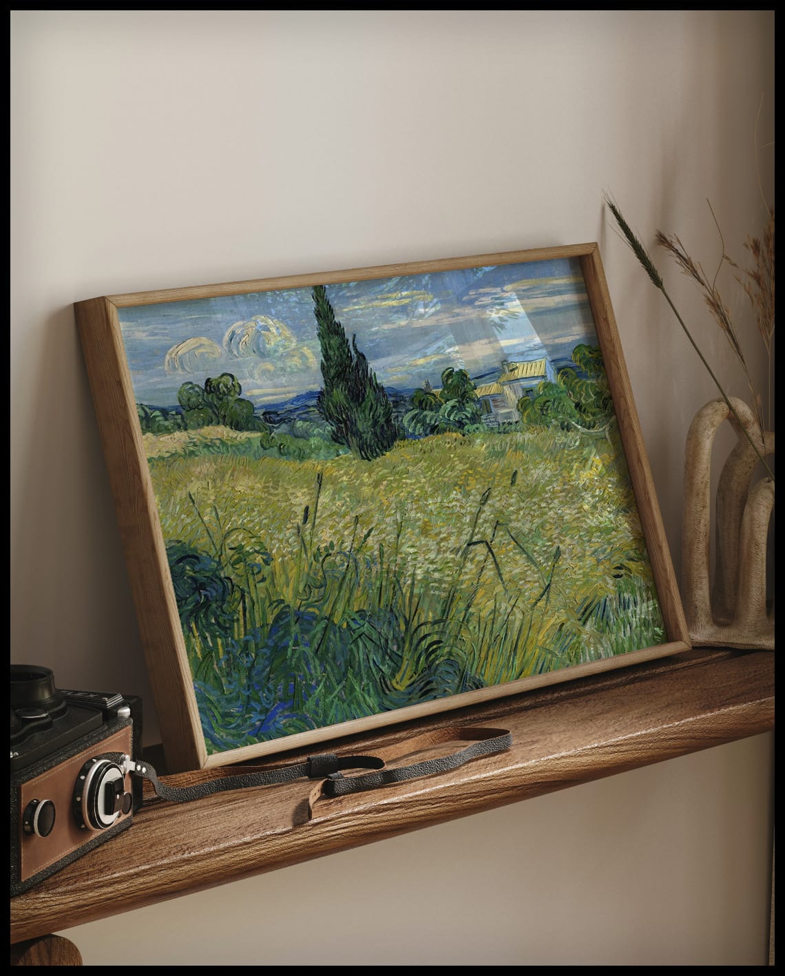 Green wheat field with cypress