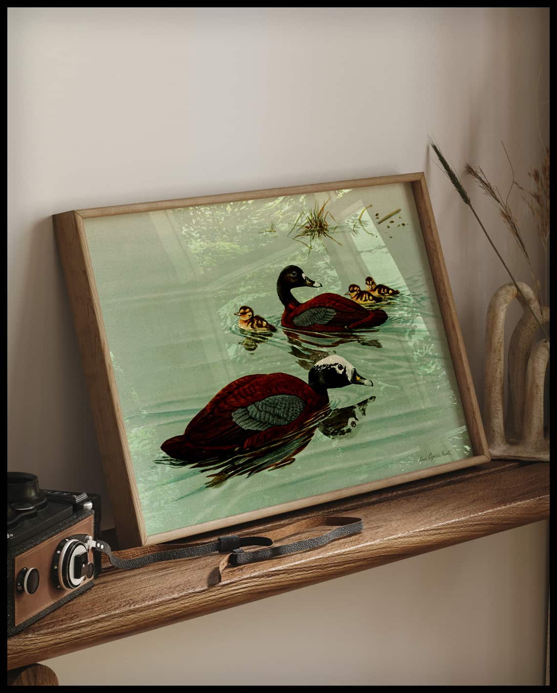 Hard-backed duck poster