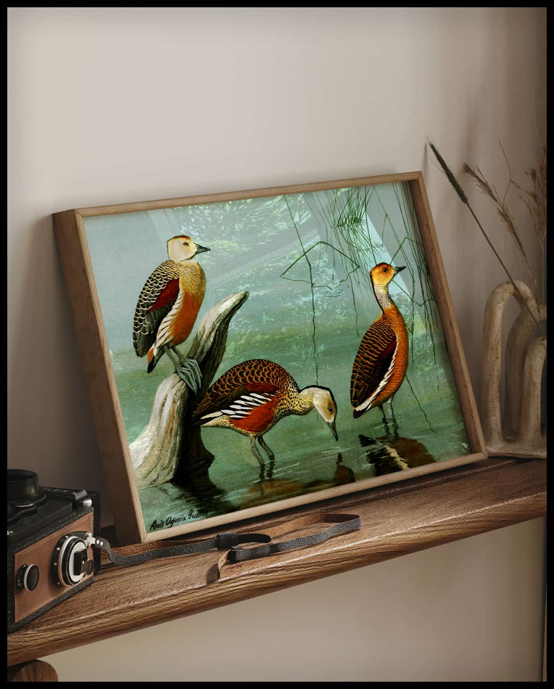 Java Whistling Duck Poster