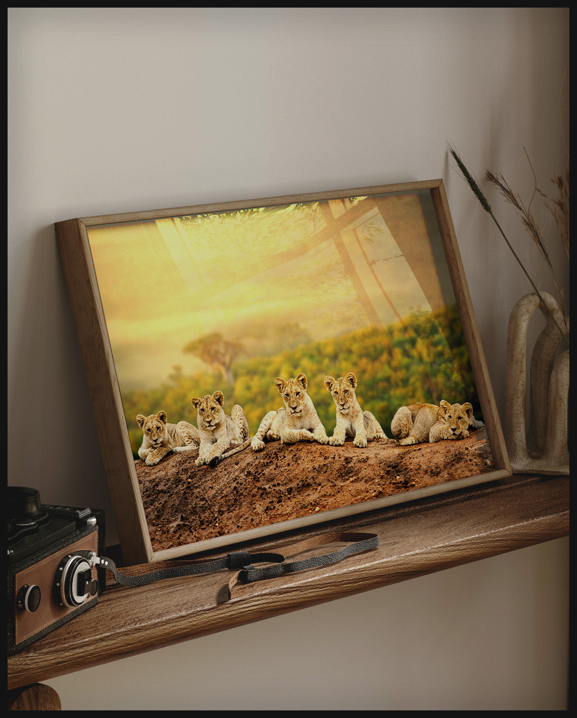Ein gerahmtes Poster von fünf jungen Löwen, die auf einem Hügel sitzen, mit einer weiten afrikanischen Savannenlandschaft im Hintergrund, auf einem Holzregal an die Wand angelehnt