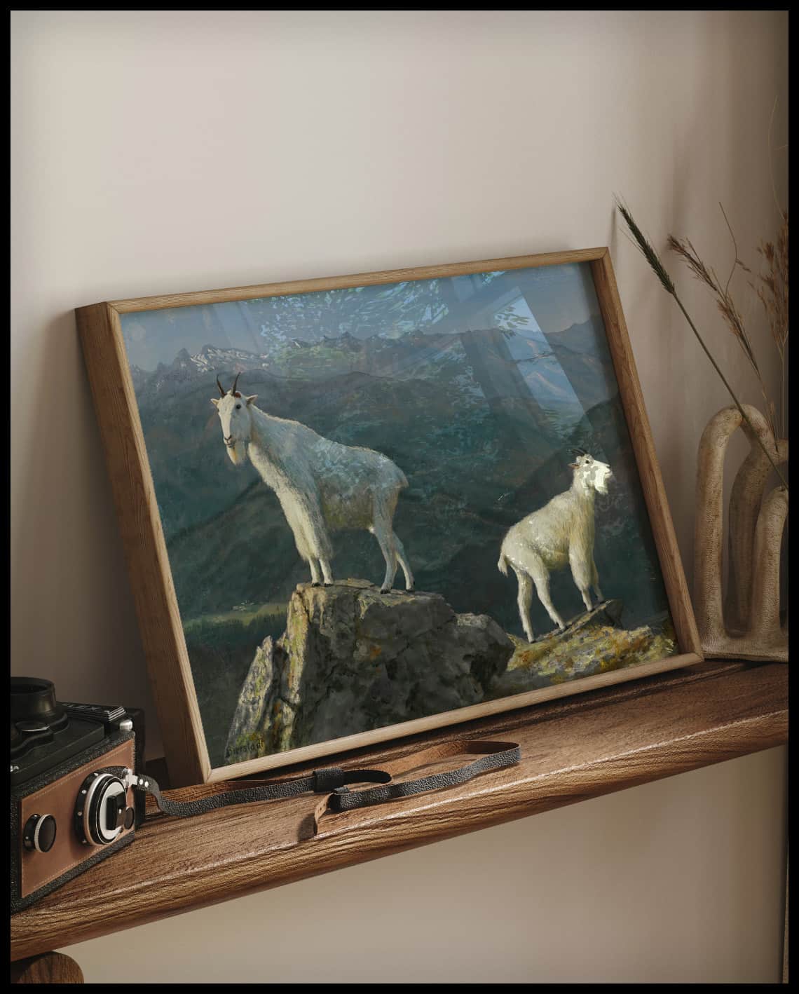 Chèvres de montagne