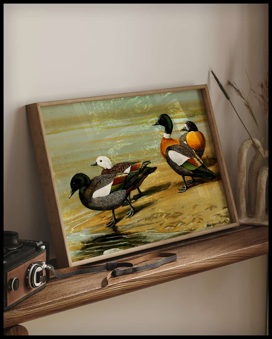 Fringillid Duck Poster