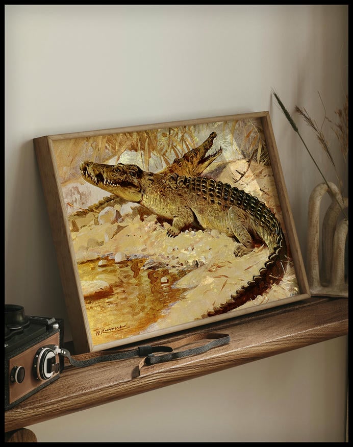Nile Crocodile