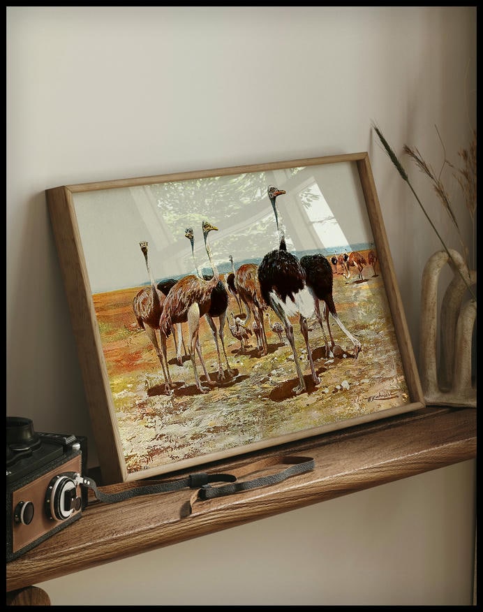 Somali Ostrich