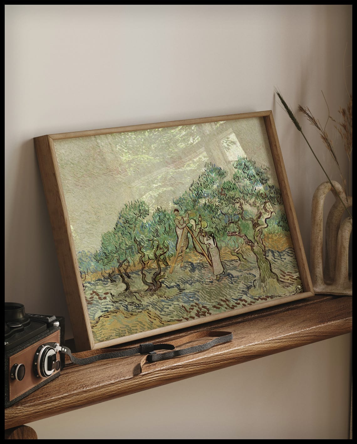 The Olive Orchard