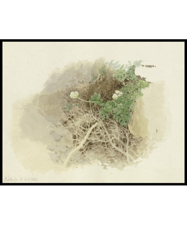 C. T. Reiffenstein Poster