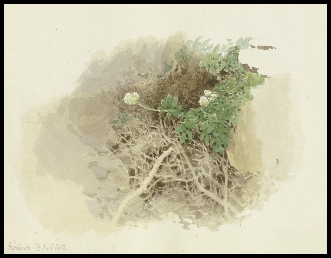 C. Poster de T. Reiffenstein