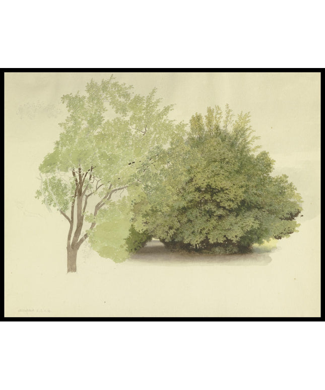 C. T. Reiffenstein Poster