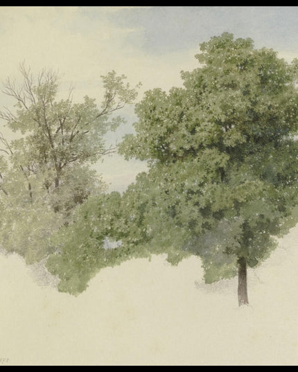 C. T. Reiffenstein Poster