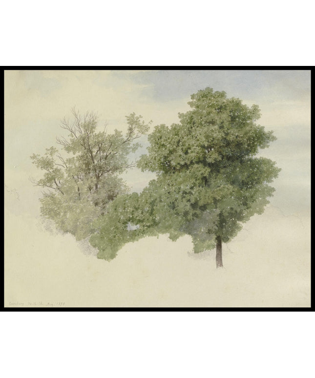 C. T. Reiffenstein Poster