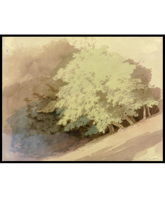 C. T. Reiffenstein Poster