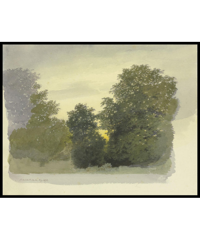 C. T. Reiffenstein Poster