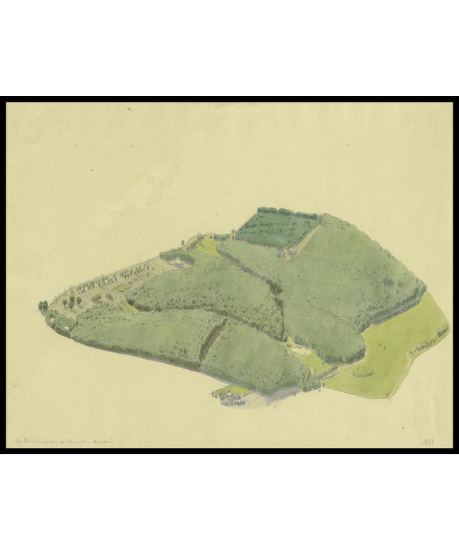 C. T. Reiffenstein Poster