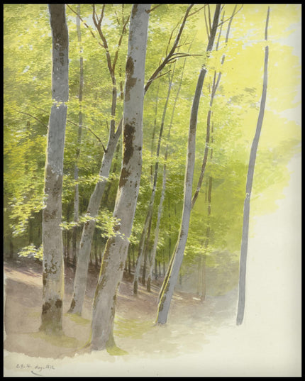 C. T. Reiffenstein Poster