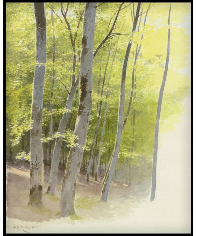 C. T. Reiffenstein Poster