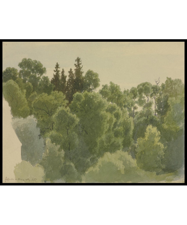 C. T. Reiffenstein Poster