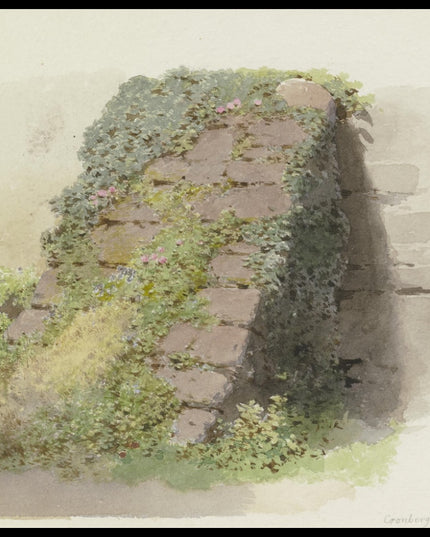 C. T. Reiffenstein Poster