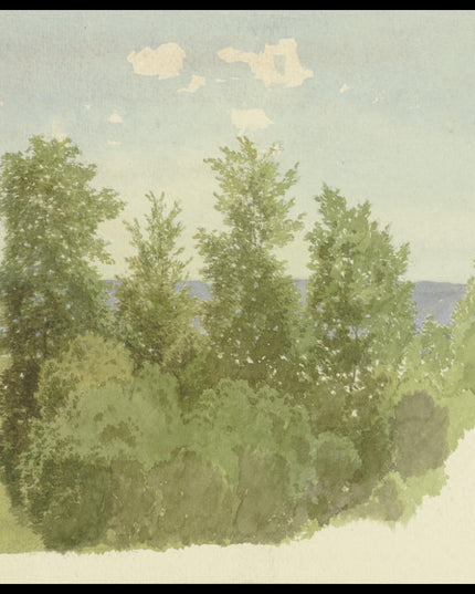 C. T. Reiffenstein Poster